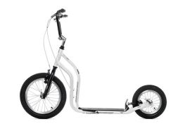 kick scooter with small wheels